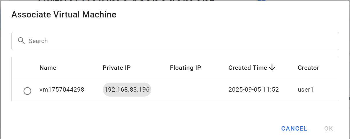 Virtual volume connect VM
