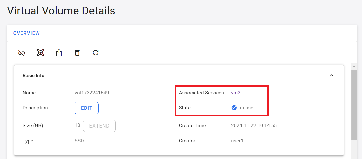 Virtual volume connect VM